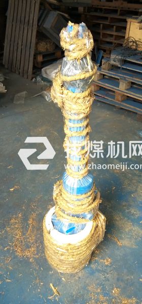 DYTZ1000-300-1.1直式電動(dòng)推桿