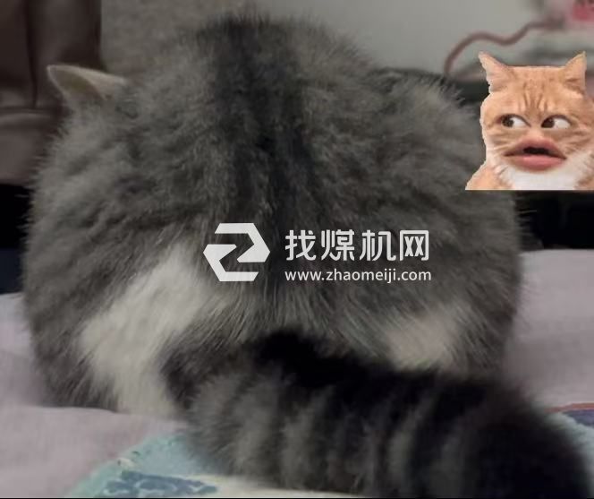 營業(yè)執(zhí)照